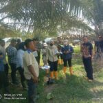 Descente PN Kisaran Ungkap Lahan Objek Sengketa Berada di Dusun Tangkahan Cempedak Desa Teluk Dalam