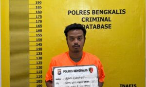 Polres Bengkalis Tangkap Pengangkut Kayu Ilegal di Siak Kecil, 4 Kubik Kayu Olahan Diamankan