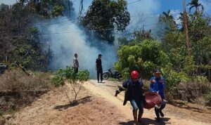 Si Jago Merah Mengganas di Anambas, Petugas Gabungan Berhasil Kendalikan Api