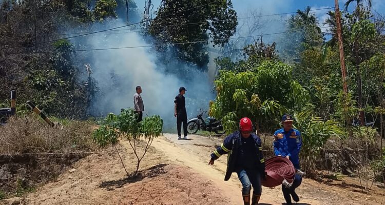 Si Jago Merah Mengganas di Anambas, Petugas Gabungan Berhasil Kendalikan Si Jago Merah Mengganas di Anambas, Petugas Gabungan Berhasil Kendalikan Api